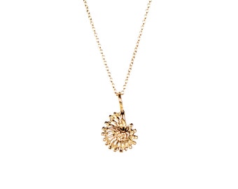 Gold Ammonite Necklace - Fossil Spiral Sea Shell Pendant, 14k Gold Filled Chain
