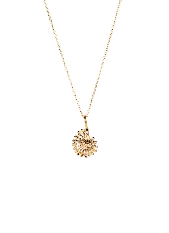 Ammonite necklace,  little gold shell necklace, spiral necklace, fossil necklace, a gold vermeil ammonite shell on a 14k gold filled chain
