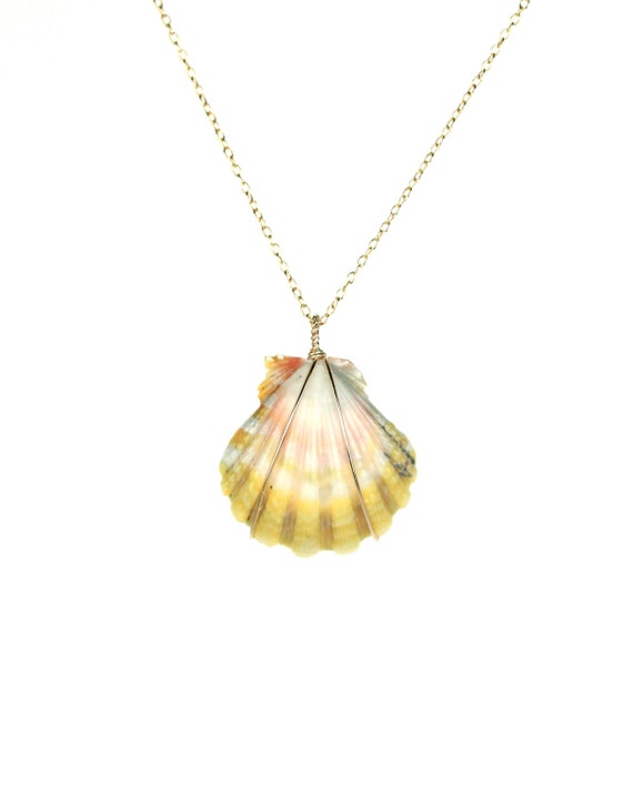 Sunrise shell necklace - Hawaiian shell - langfords pecten - sea shell necklace - a wire wrapped moonrise shell on a 14k gold vermeil chain
