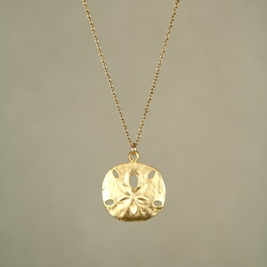 Gold sand dollar necklace - delicate necklace - a dainty gold sand dollar hanging from a 14k gold  vermeil chain