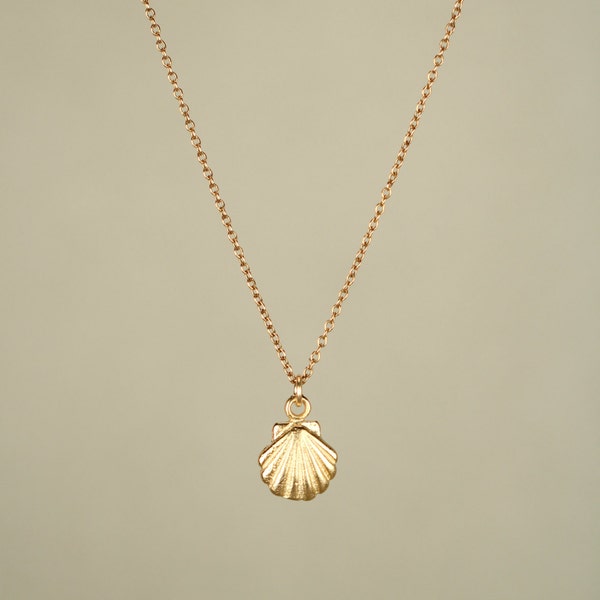 Gold shell necklace - tiny shell necklace - sea shell necklace - a tiny gold sea shell on a 14k gold vermeil chain