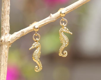 14K Yellow Gold Magical Seahorse Hook Earrings – Island by Koa Nani