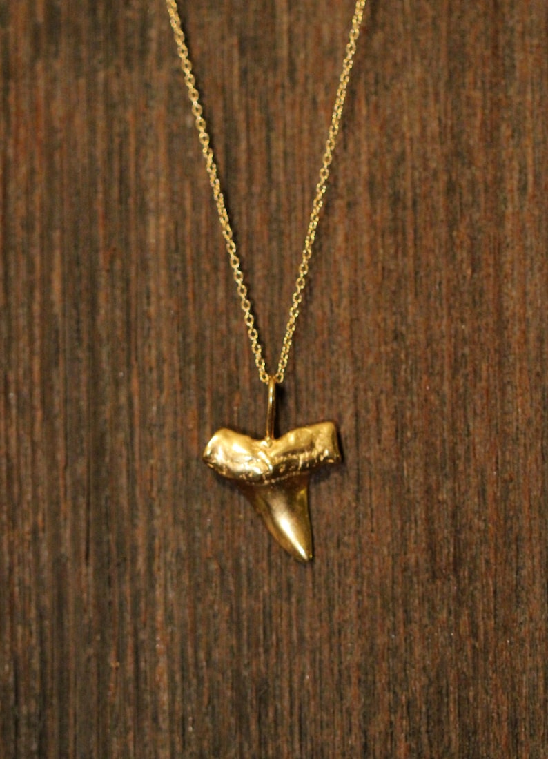 Shark tooth necklace, gold shark tooth pendant, beach necklace, a 14k gold plated sterling silver sharks tooth on a 14k gold filled chain image 7