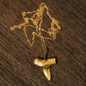 Shark tooth necklace, gold shark tooth pendant, beach necklace, a 14k gold plated sterling silver sharks tooth on a 14k gold filled chain image 3