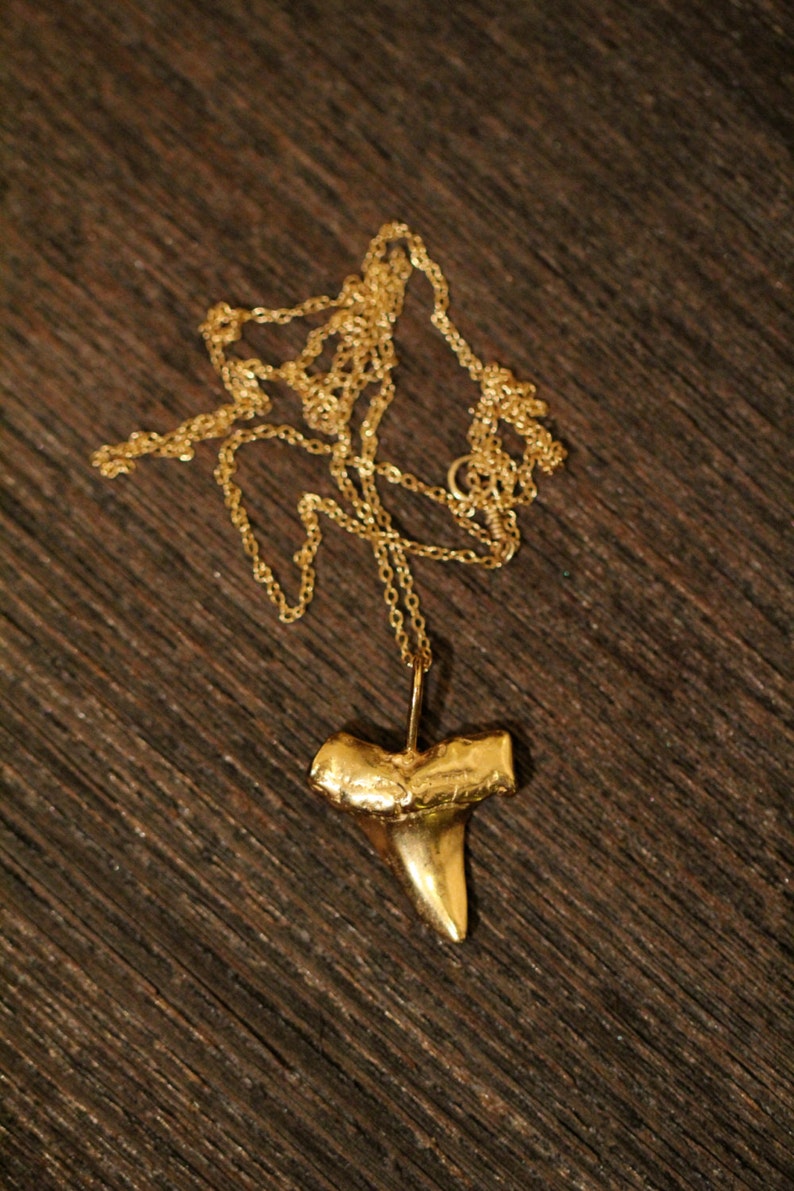 Shark tooth necklace, gold shark tooth pendant, beach necklace, a 14k gold plated sterling silver sharks tooth on a 14k gold filled chain image 3
