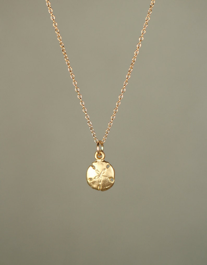 Gold sand dollar necklace - delicate necklace - a tiny 14k gold vermeil sand dollar hanging from a 14k gold filled chain image 1