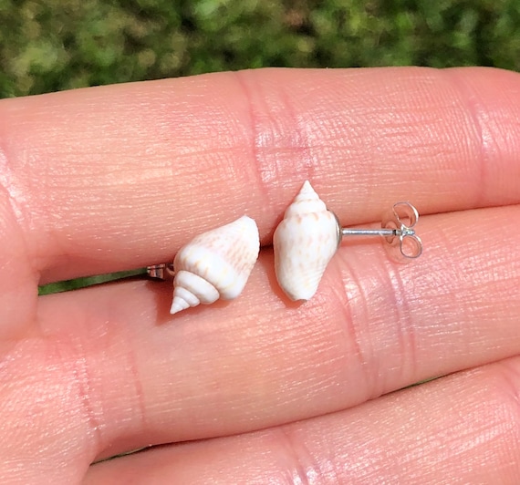 Sea shell earrings, Spiral shell stud earrings, white nassa shell earrings, beach earrings, Hawaii, summer earrings,  gift under 20