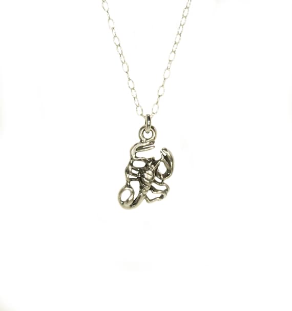 Scorpion necklace, sterling silver insect necklace, desert necklace, scorpio necklace, dainty sterling silver chain