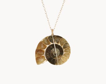 Ammonite Fossil Necklace, Cleoniceras Spiral Infinity Shell Pendant,  14k Gold Filled Chain