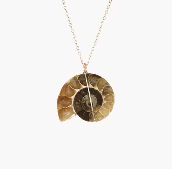 Ammonite Fossil Necklace, Cleoniceras Spiral Infinity Shell Pendant,  14k Gold Filled Chain