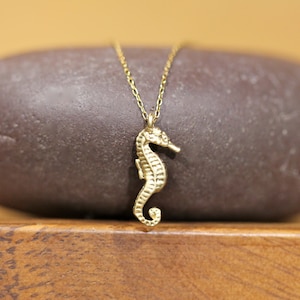 Sea horse necklace, little sea horse, gold sea horse pendant, cute necklace,  - a 14k gold vermeil seahorse on a 14k gold vermeil chain