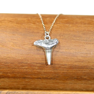 Silver shark tooth necklace, shark tooth pendant, surfer necklace, mens necklace, Hawaii necklace, summer jewelry, beach necklace