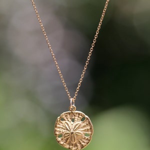 Gold sand dollar necklace, delicate necklace, beach necklace, silver sea star, a 14k gold vermeil sand dollar on a 14k gold filled chain image 3