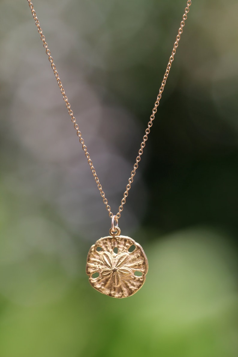 Gold sand dollar necklace, delicate necklace, beach necklace, silver sea star, a 14k gold vermeil sand dollar on a 14k gold filled chain image 3