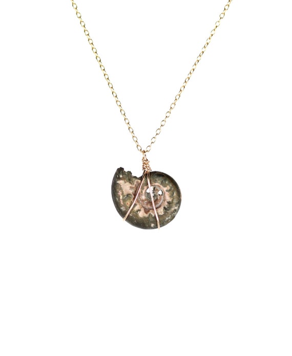Ammonite necklace - fossil - shell necklace - infinity - a fossilized pyrite ammonite shell hanging on a 14k gold vermeil chain