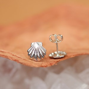 Scallop Sea Shell Earrings Sterling Silver Tropical Minimal