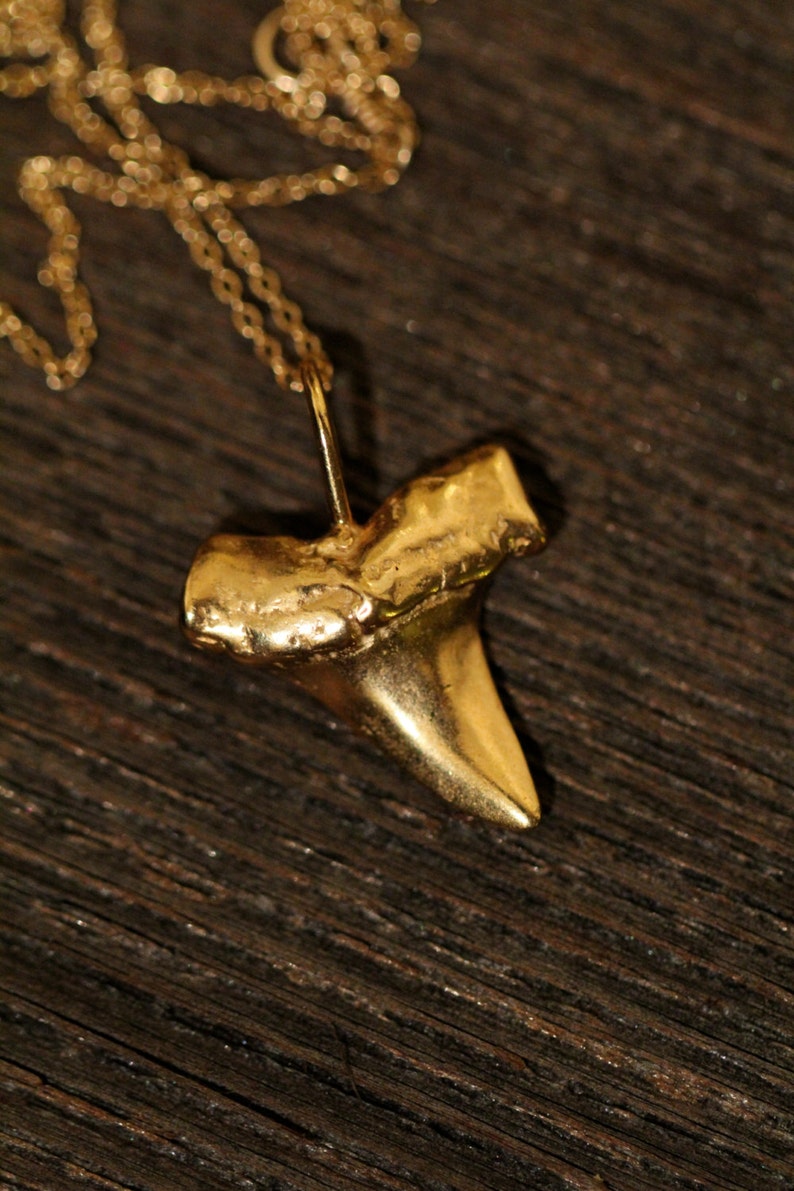Shark tooth necklace, gold shark tooth pendant, beach necklace, a 14k gold plated sterling silver sharks tooth on a 14k gold filled chain image 5