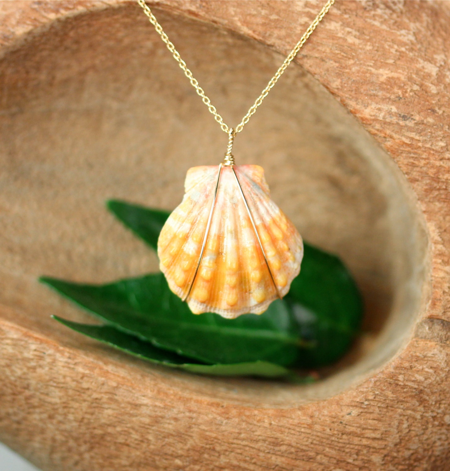 Sunrise shell necklace deals