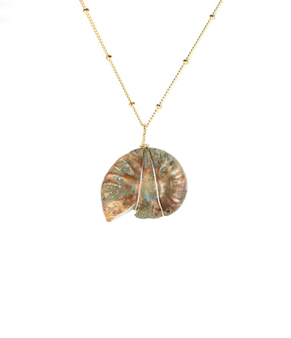 Opal necklace - fossil necklace - ammonite necklace - shell necklace - an opalized ammonite wire wrapped onto a 14k gold vermeil chain - AM9