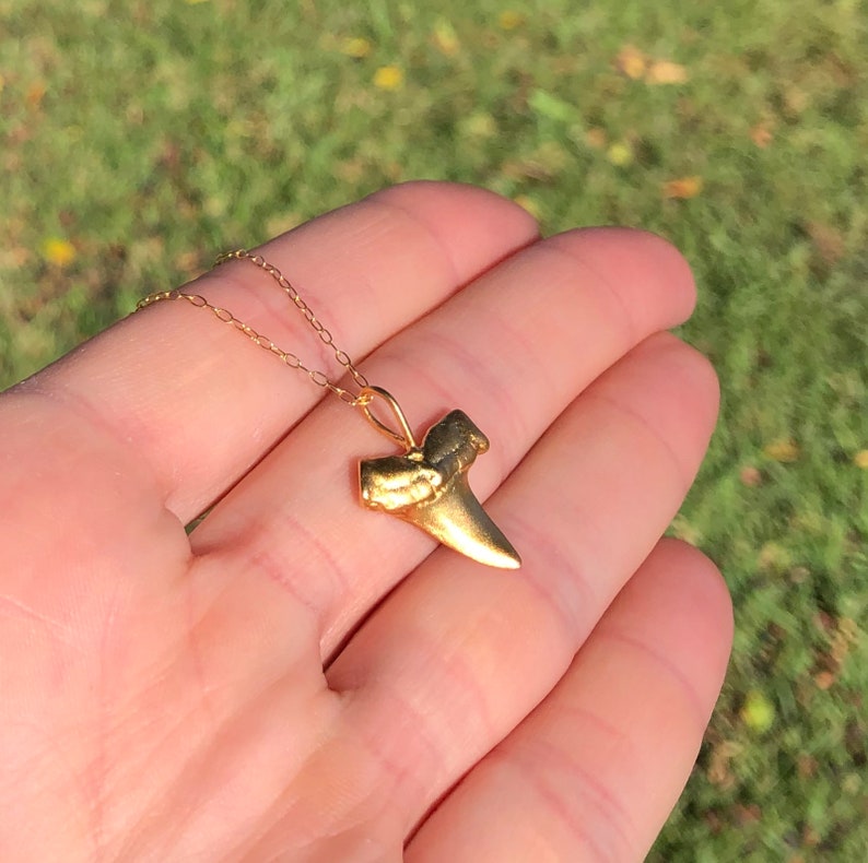 Shark tooth necklace, gold shark tooth pendant, beach necklace, a 14k gold plated sterling silver sharks tooth on a 14k gold filled chain image 2