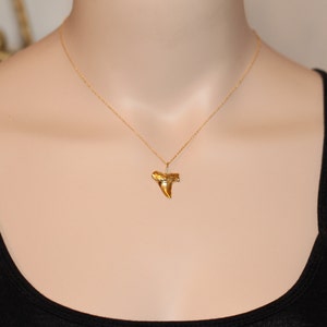 Shark tooth necklace, gold shark tooth pendant, beach necklace, a 14k gold plated sterling silver sharks tooth on a 14k gold filled chain image 4