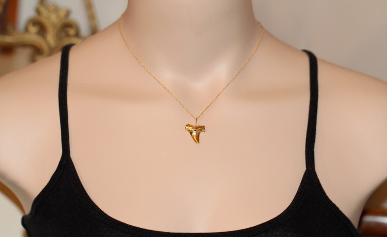 Shark tooth necklace, gold shark tooth pendant, beach necklace, a 14k gold plated sterling silver sharks tooth on a 14k gold filled chain image 4