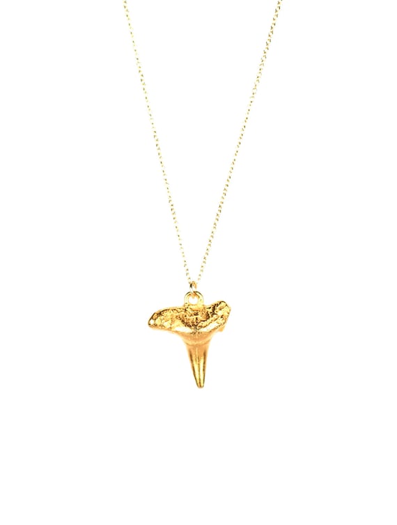 Gold shark tooth necklace, shark tooth pendant, surfers necklace, beach jewelry, a 14k gold vermeil sharks tooth on a 14k gold filled chain