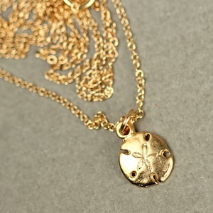 Gold sand dollar necklace - delicate necklace - a tiny 14k gold vermeil sand dollar hanging from a 14k gold filled chain image 5