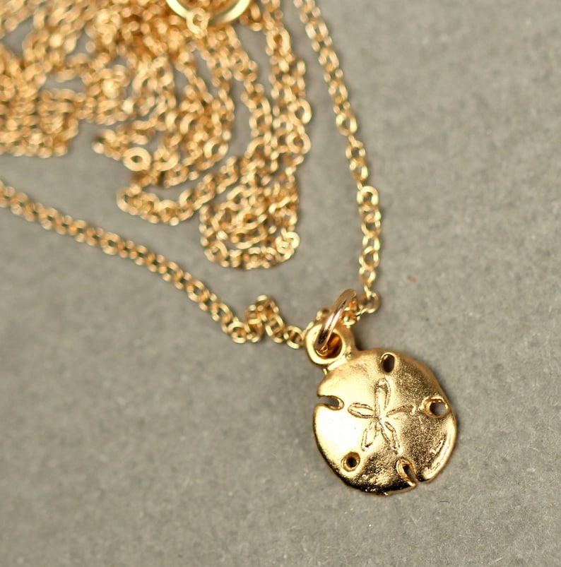 Gold sand dollar necklace - delicate necklace - a tiny 14k gold vermeil sand dollar hanging from a 14k gold filled chain image 5