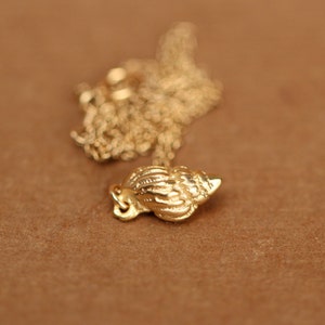 Conch-ketting - gouden schelpketting - strandketting - een 14k gouden vermeil spiraalvormige schelp aan een 14k gold filled ketting