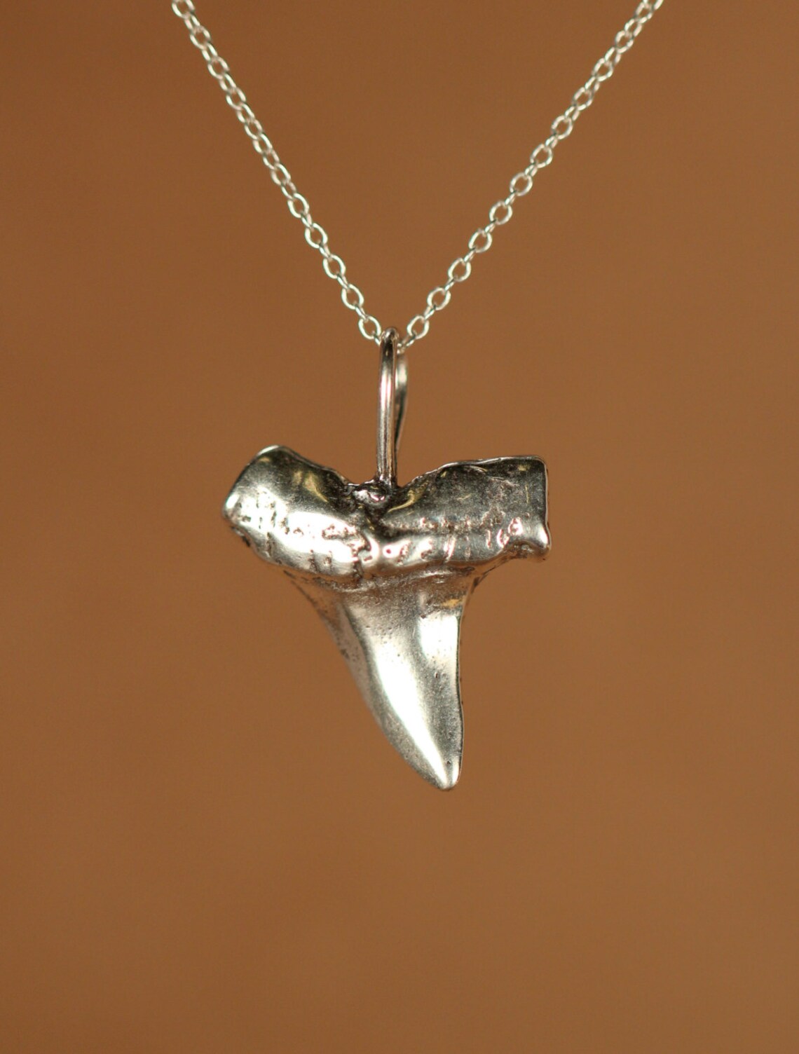 Shark Tooth Necklace Silver Shark Tooth Necklace a Solid Etsy