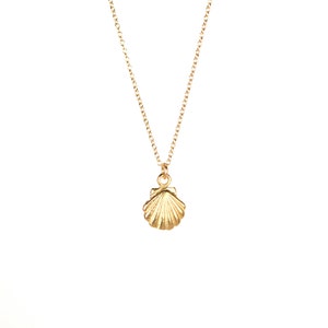 Tiny shell necklace - gold shell necklace -  sea shell necklace - scallop necklace - a tiny gold clam shell on a 14k gold filled chain