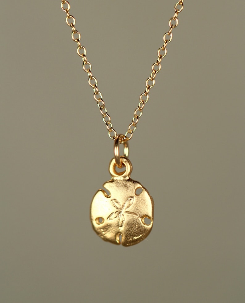 Gold sand dollar necklace - delicate necklace - a tiny 14k gold vermeil sand dollar hanging from a 14k gold filled chain image 4