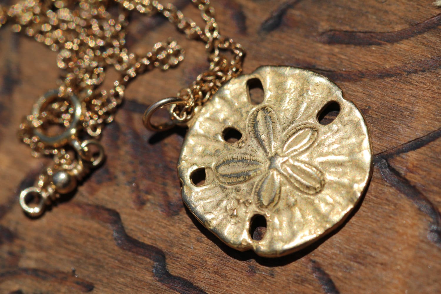 Gold sand dollar necklace delicate necklace a dainty gold sand