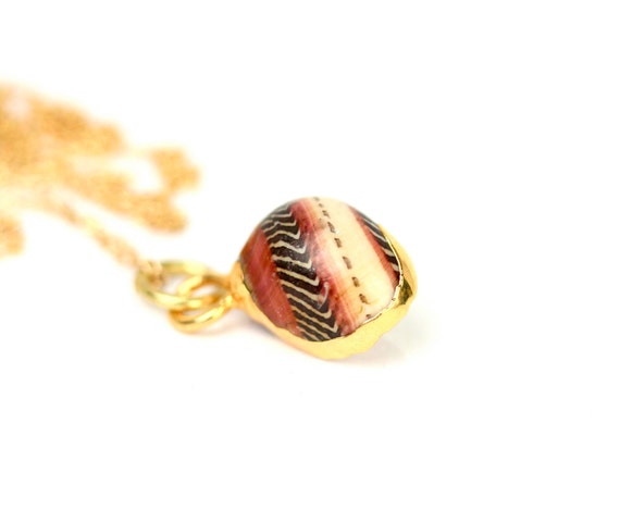 Nerite shell necklace - zebra shell - sea shell necklace - a gold lined red and white striped shell on a 14k gold vermeil chain