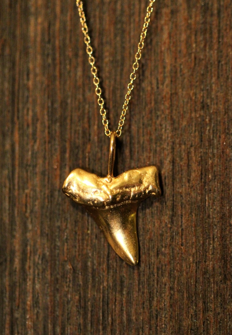 Shark tooth necklace, gold shark tooth pendant, beach necklace, a 14k gold plated sterling silver sharks tooth on a 14k gold filled chain image 8