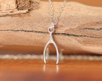 May include: A silver wishbone necklace with a delicate chain. The wishbone pendant is a simple, classic design.
