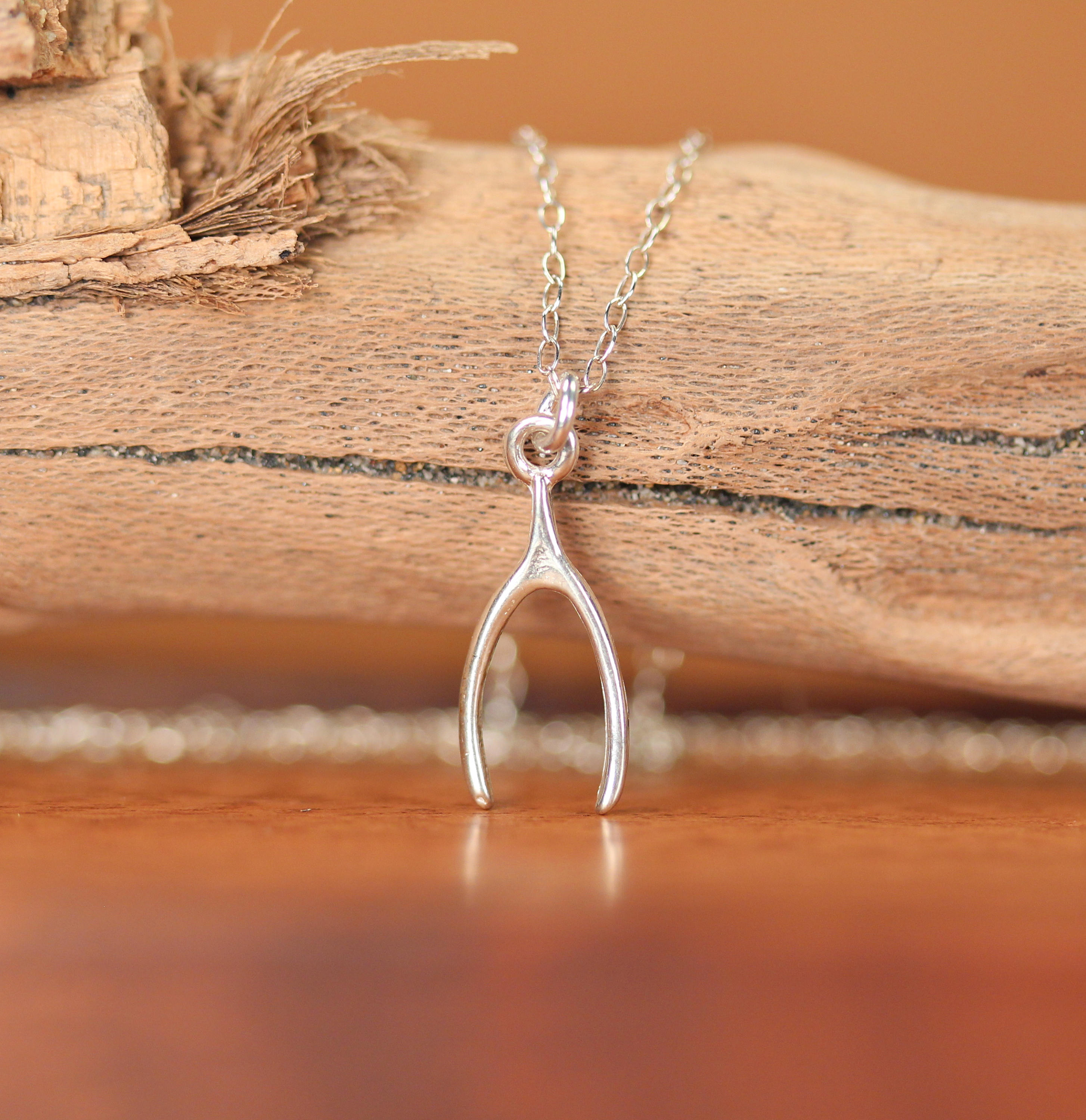 Lucky Charm Wishbone Necklace – Skinny Wrists