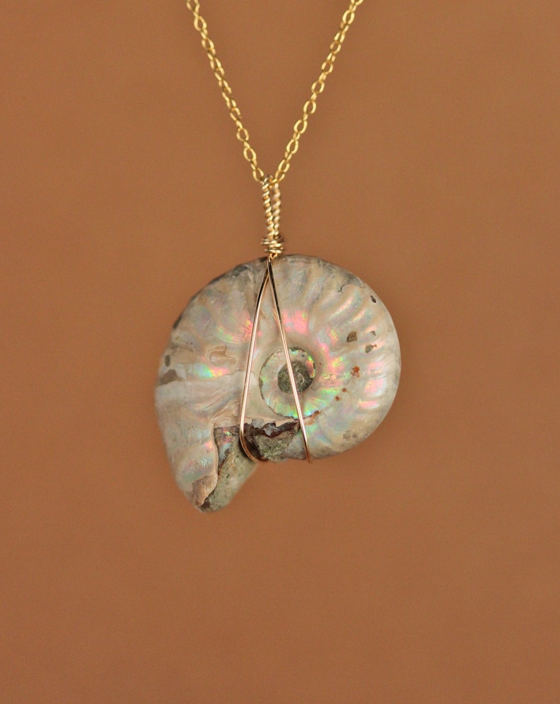 Opal necklace fossil necklace ammonite necklace shell Etsy