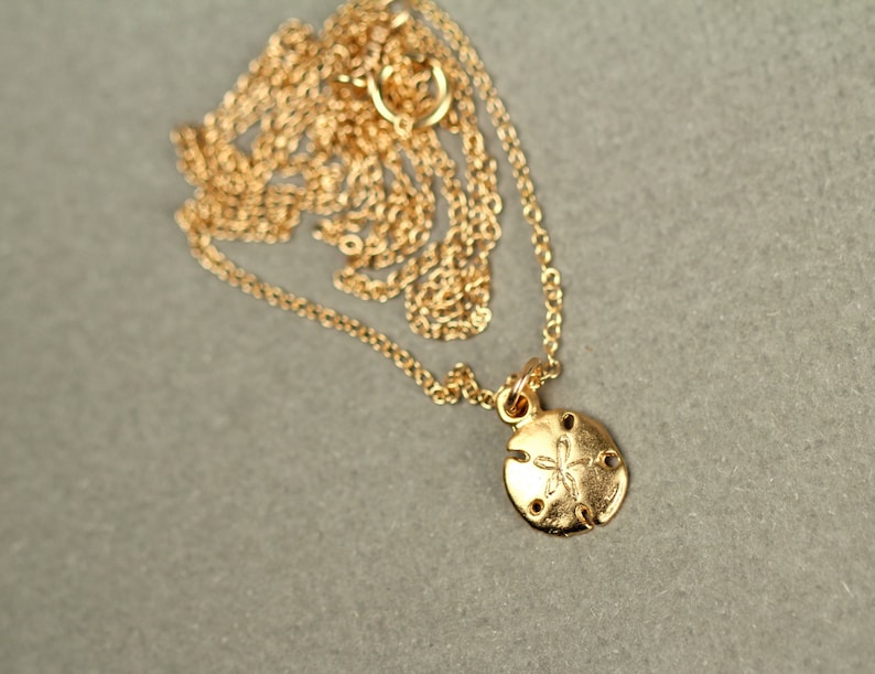 Gold sand dollar necklace - delicate necklace - a tiny 14k gold vermeil sand dollar hanging from a 14k gold filled chain image 2