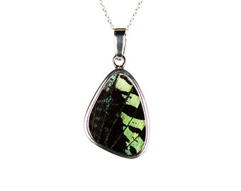 Butterfly wing necklace, butterfly necklace, rainbow wing pendant, a real butterfly wing lined in solid silver on a sterling silver chain