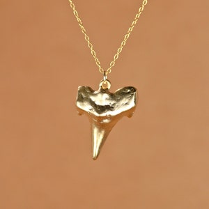 Shark tooth necklace, gold shark tooth necklace, beach necklace, surfer jewelry, a 14k gold vermeil sharks tooth on a 14k gold filled chain