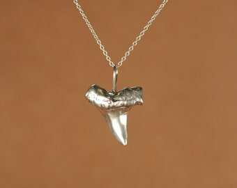 Shark tooth necklace - silver shark tooth necklace - a solid sterling silver sharks tooth on a sterling silver or 14k gold vermeil chain