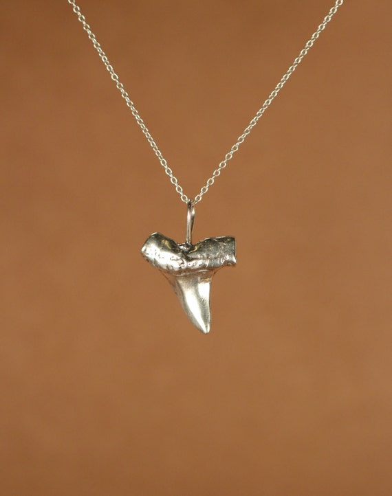 Shark tooth necklace - silver shark tooth necklace - a solid sterling silver sharks tooth on a sterling silver or 14k gold vermeil chain