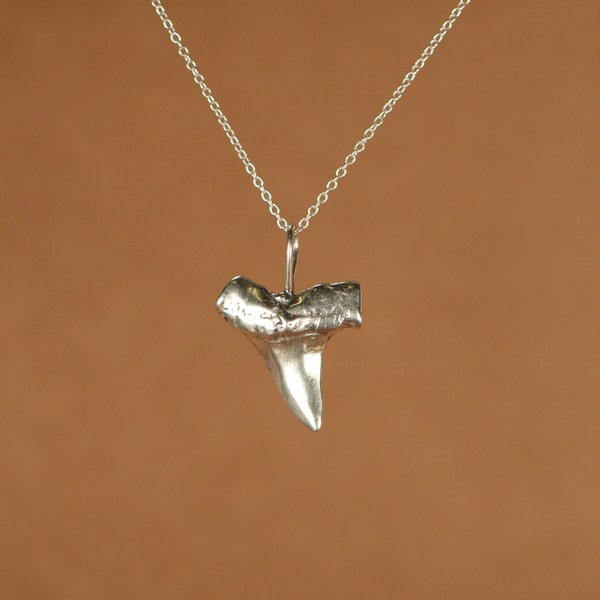 Shark tooth necklace - silver shark tooth necklace - a solid sterling silver sharks tooth on a sterling silver or 14k gold vermeil chain