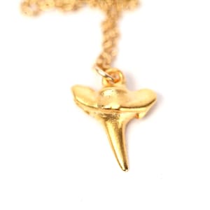 Gold shark tooth necklace, beach jewelry, shark tooth pendant, gold point, a tiny 14k gold vermeil sharks tooth on a 14k gold filled chain