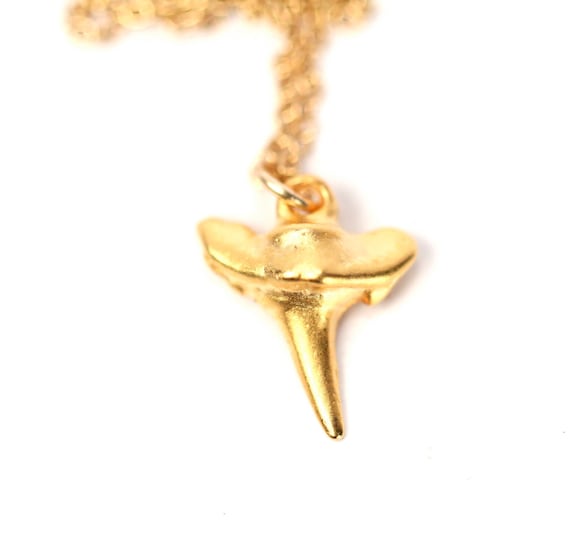 Gold shark tooth necklace, beach jewelry, shark tooth pendant, gold point, a tiny 14k gold vermeil sharks tooth on a 14k gold filled chain