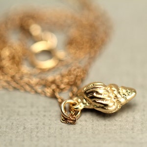 Collar de concha, collar de concha de oro, collar de playa, colgante de concha en espiral, una concha en espiral de oro vermeil de 14k en una cadena rellena de oro de 14k