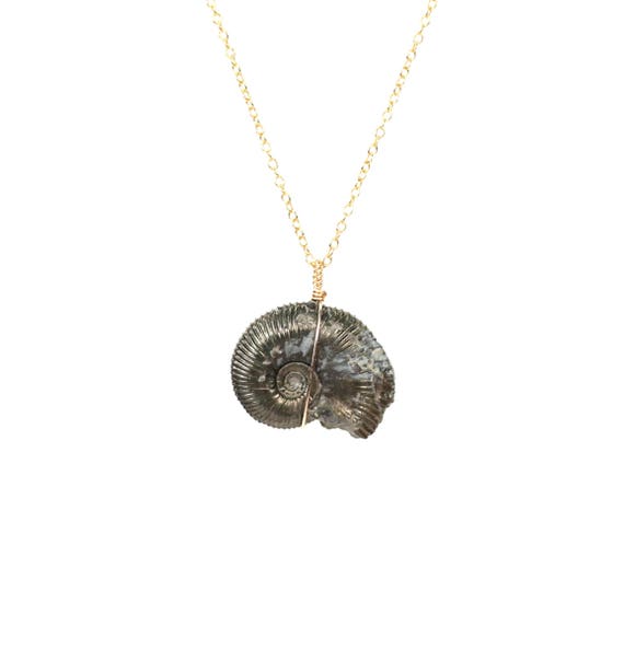 Ammonite necklace - pyritized ammonite necklace - fossil necklace - spiral shell necklace