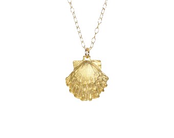 Gold Vermeil Sea Shell Necklace: 14k Gold Filled Chain